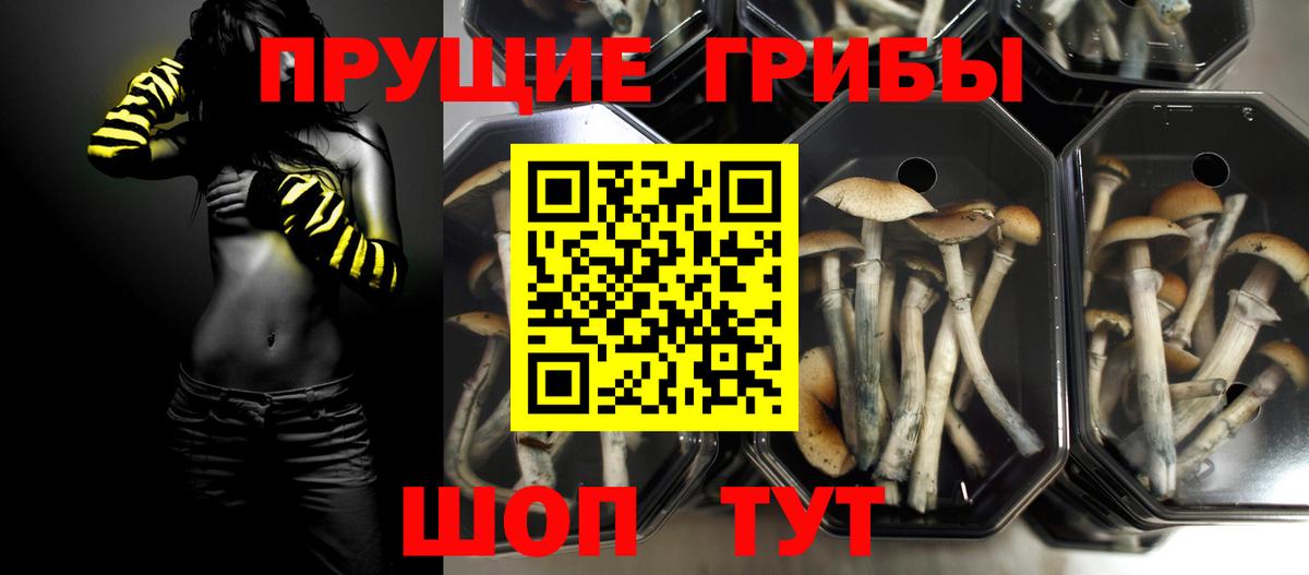 Галлюциногенные грибы прущие грибы Калуга