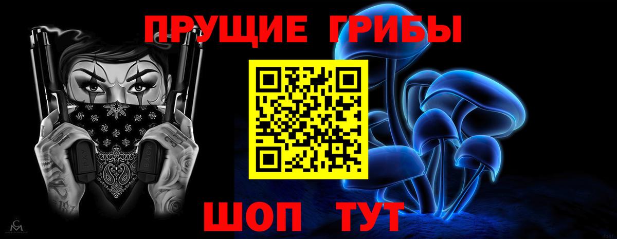 Калуга  Псилоцибиновые грибы Cubensis  Вход с VPN  Псилоцибиновые грибы Psilocybine cubensis 